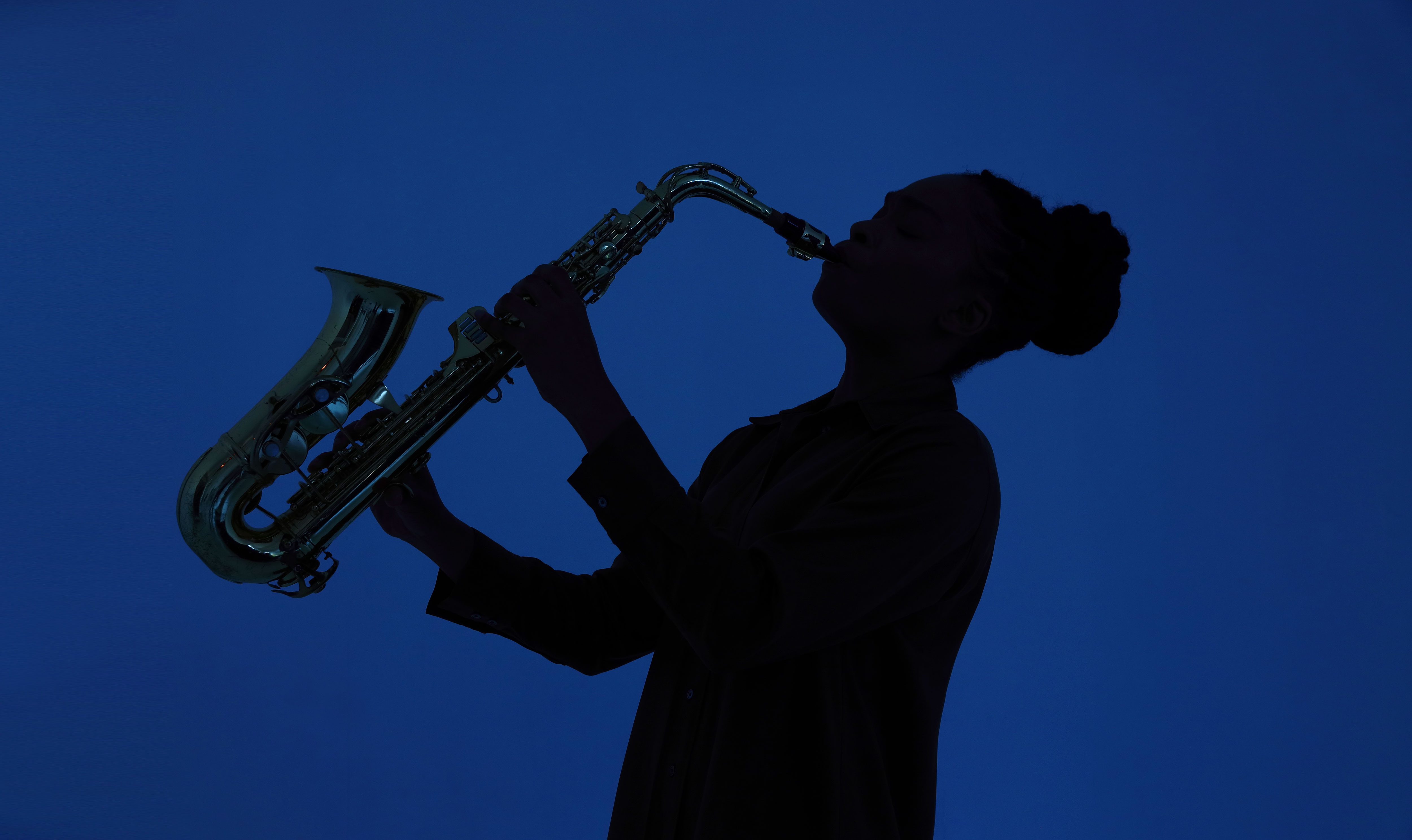 Musician Silhouette